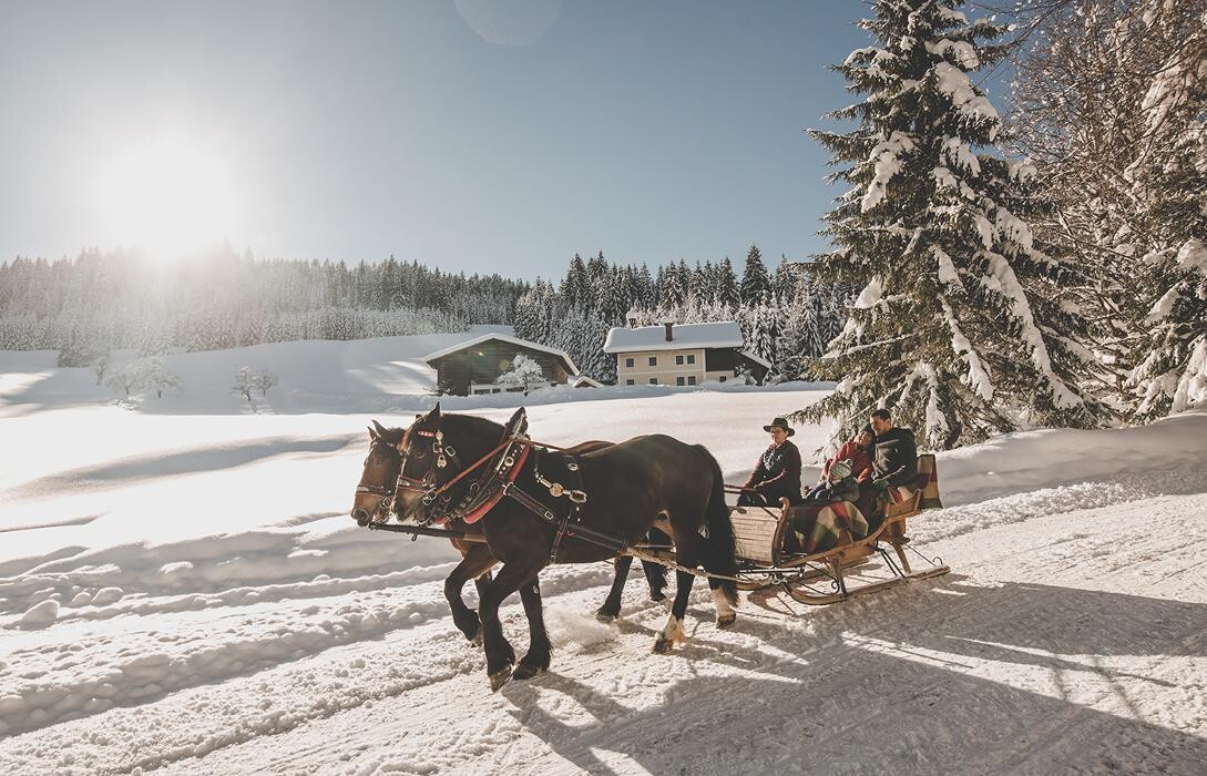 Bilder Hotel Schloss Mittersill