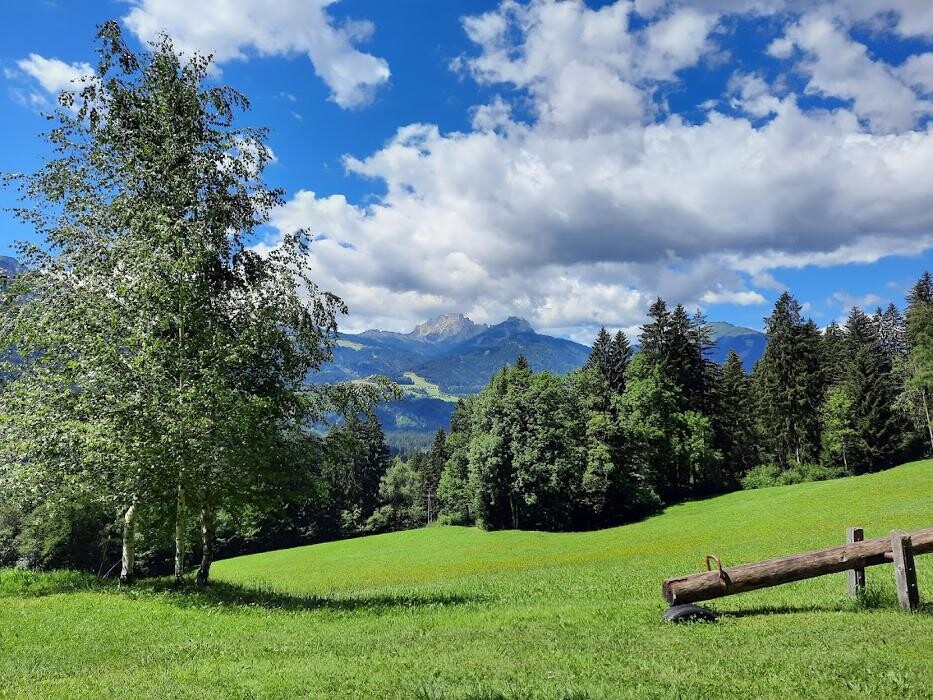 Bilder Gästehaus zum Freihof