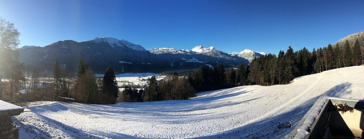 Bilder Gästehaus zum Freihof