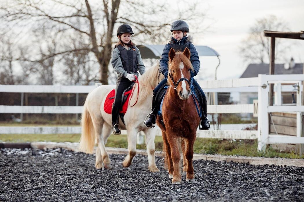 Bilder Kinderreitschule & Spanische Pferde Lindenhof