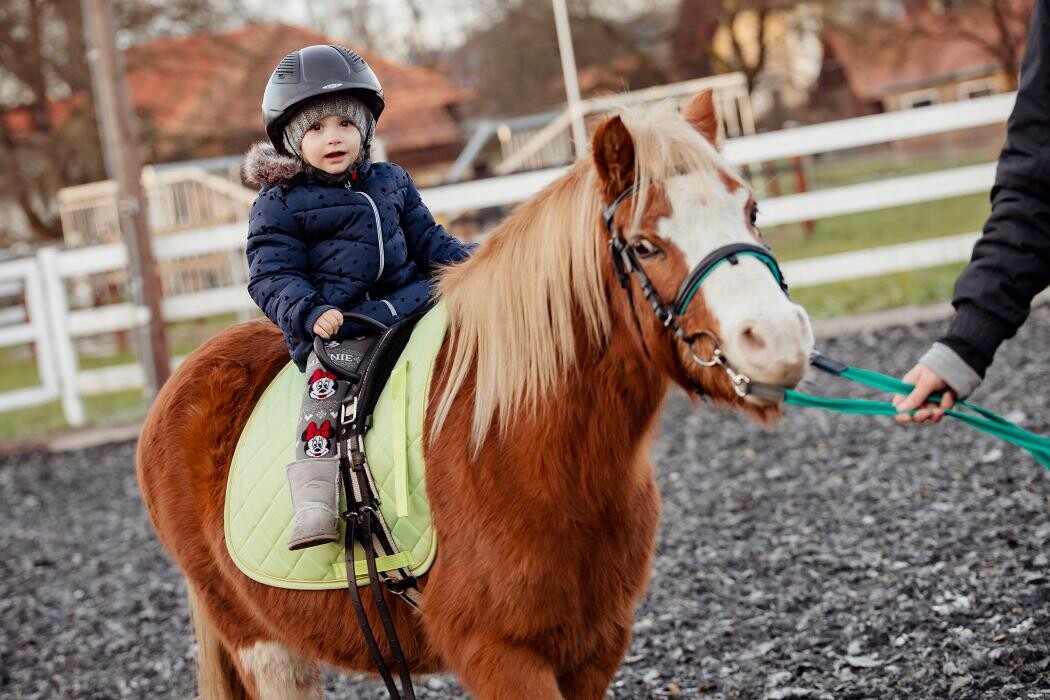 Bilder Kinderreitschule & Spanische Pferde Lindenhof