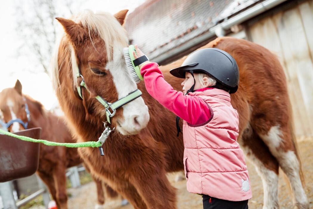 Bilder Kinderreitschule & Spanische Pferde Lindenhof