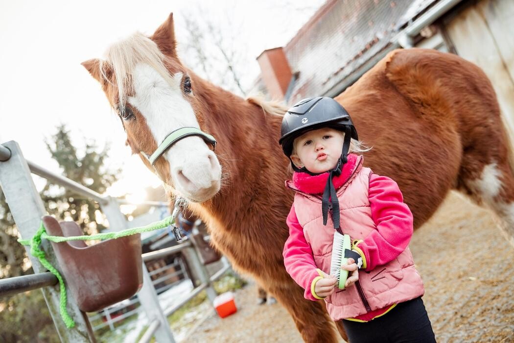 Bilder Kinderreitschule & Spanische Pferde Lindenhof