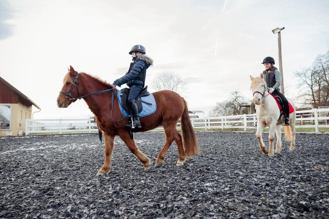 Bilder Kinderreitschule & Spanische Pferde Lindenhof