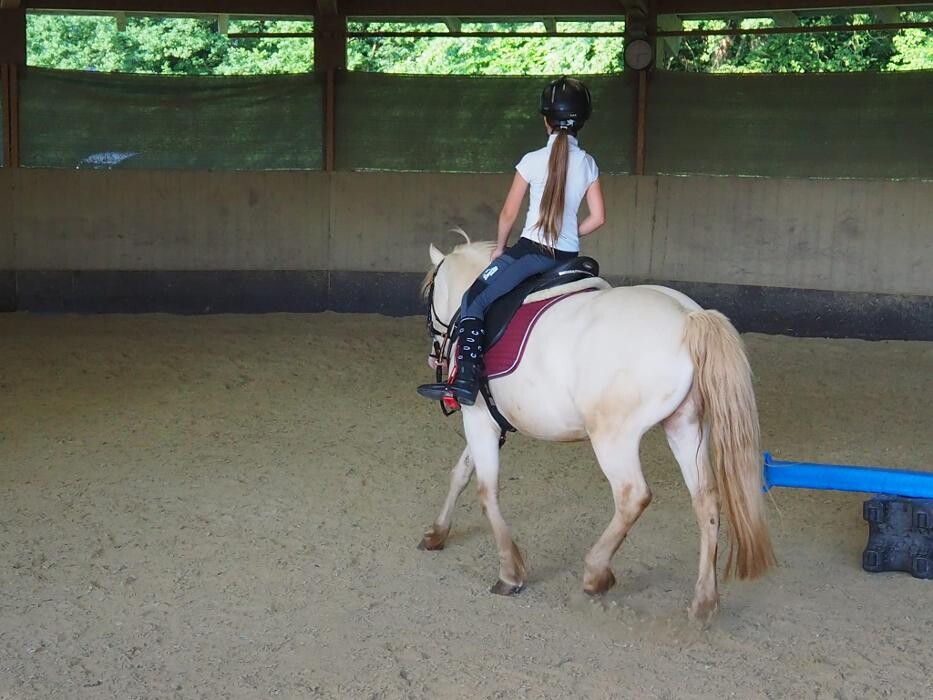 Bilder Kinderreitschule & Spanische Pferde Lindenhof