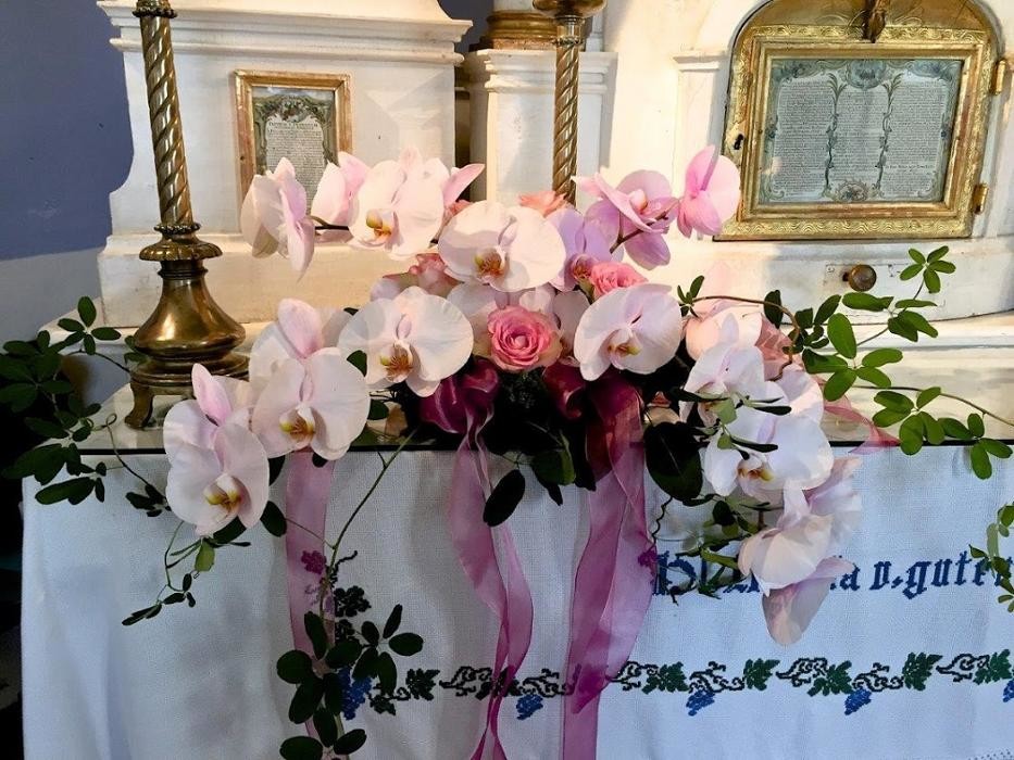 Bilder Blumen Gruber