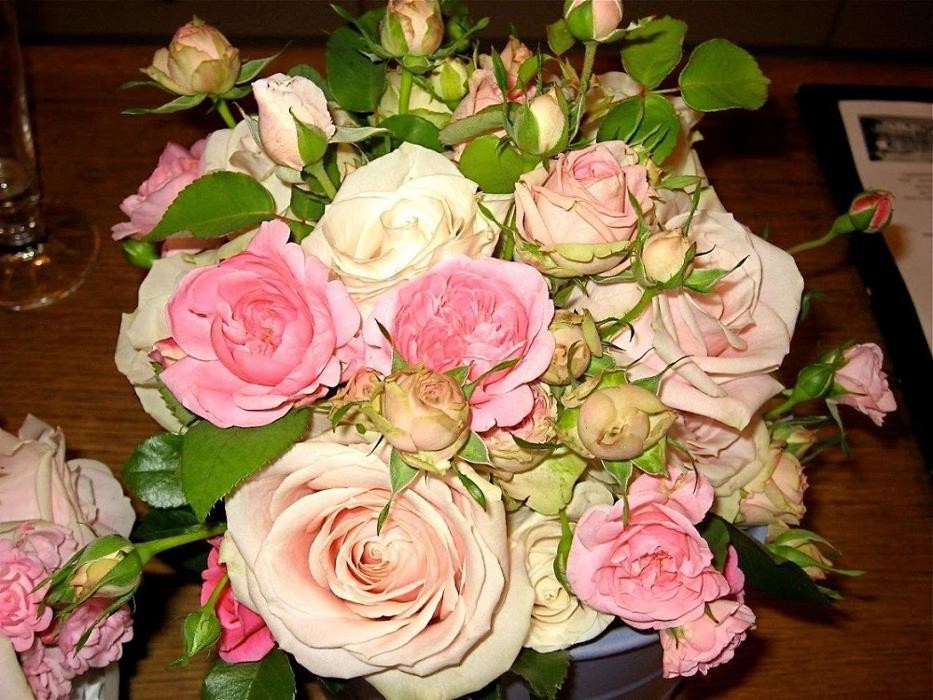 Bilder Blumen Gruber