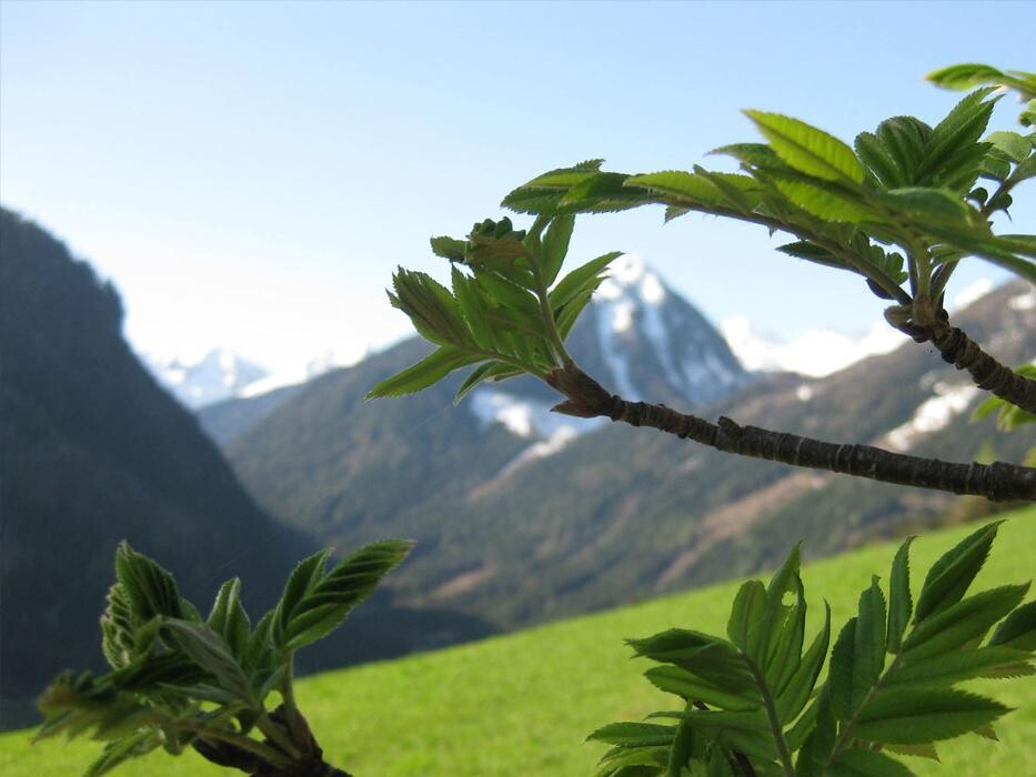 Bilder Pension Steiermark