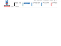 Screenshot for http://www.mosdorfer-verzinkerei.at