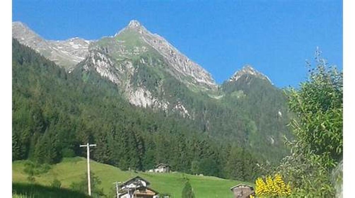 Bilder Gasthof Pension Brunnhaus