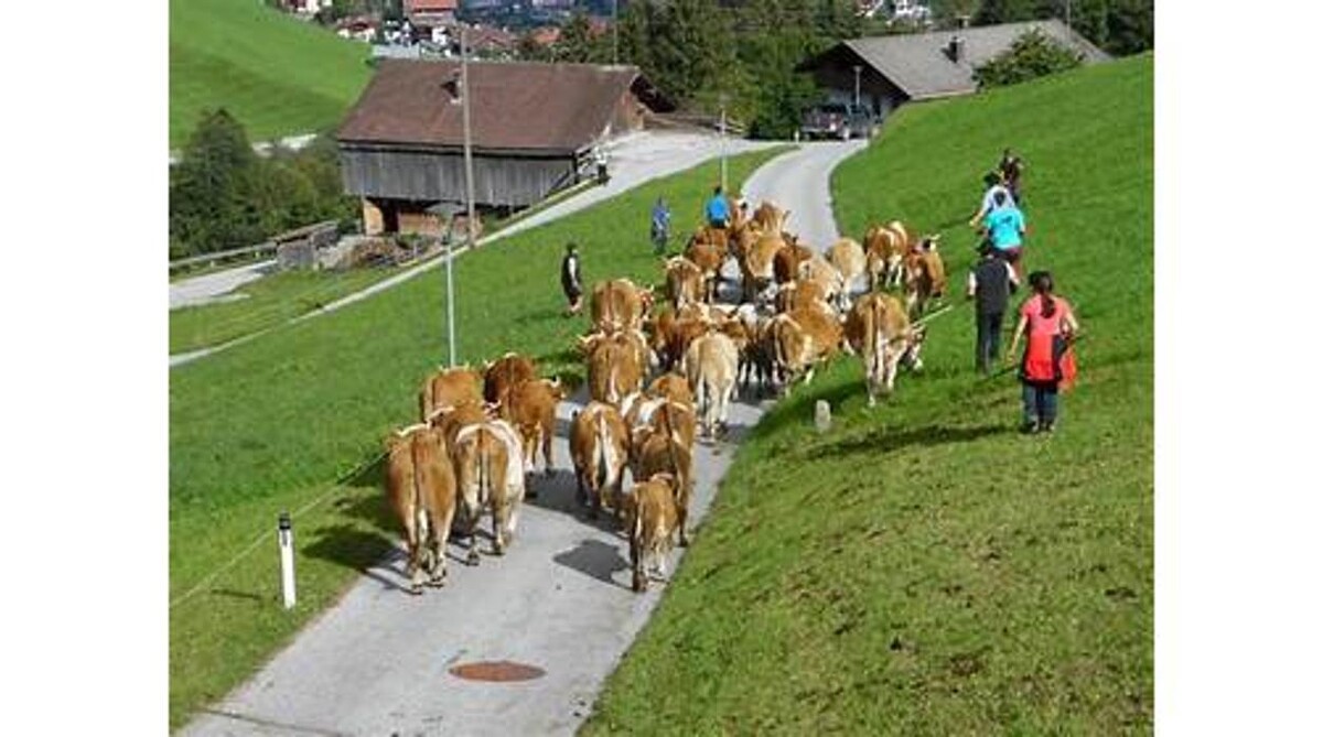Bilder Gasthof Pension Brunnhaus