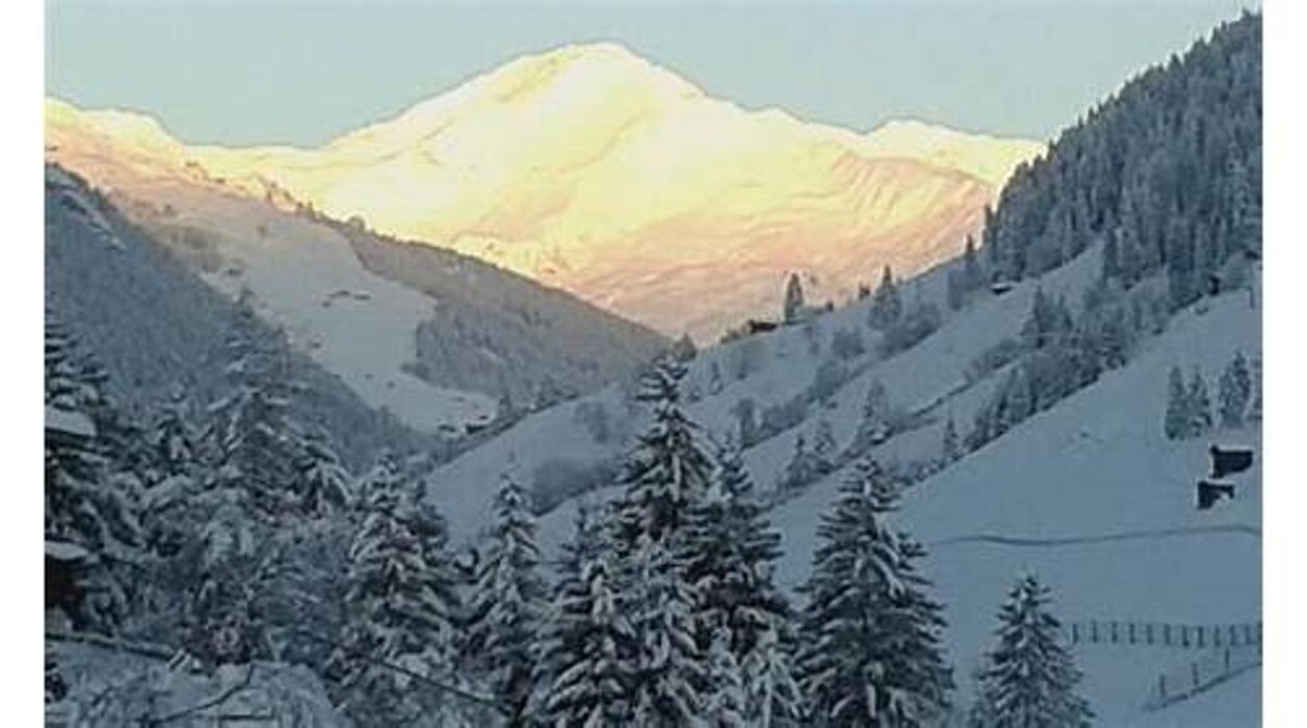 Bilder Gasthof Pension Brunnhaus