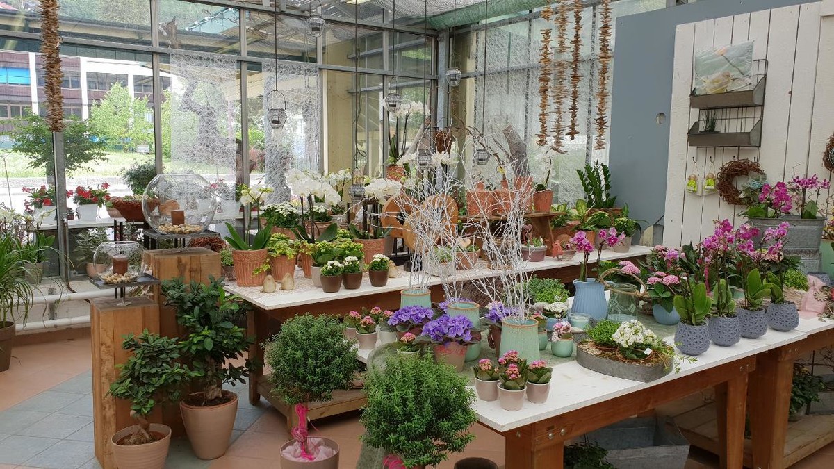 Bilder Gartenbau - Floristik Markus Tauderer