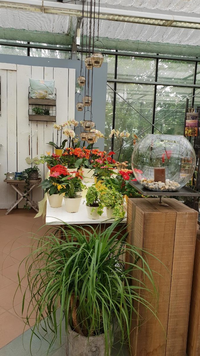 Bilder Gartenbau - Floristik Markus Tauderer