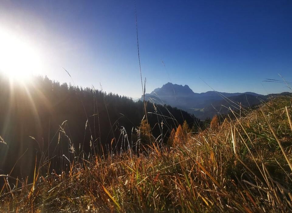 Bilder Kaffeehaus Ferienwohnungen Hautz