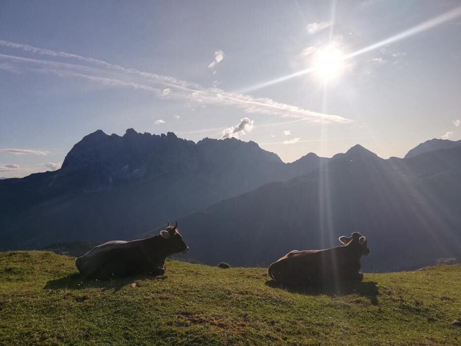 Bilder Kaffeehaus Ferienwohnungen Hautz
