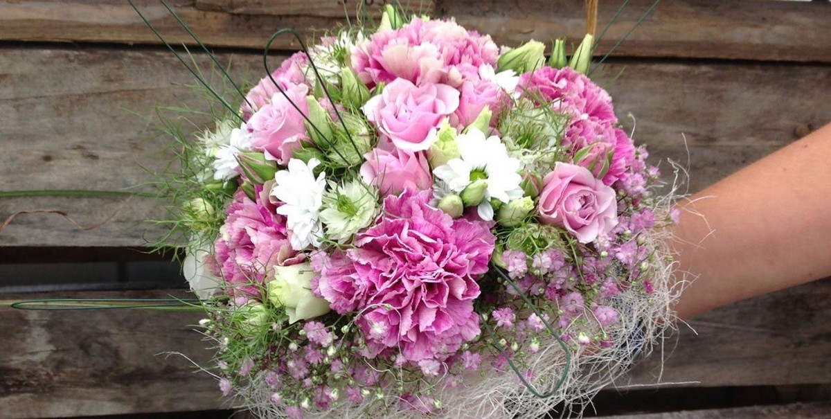 Bilder Blume & Garten Kerschdorfer