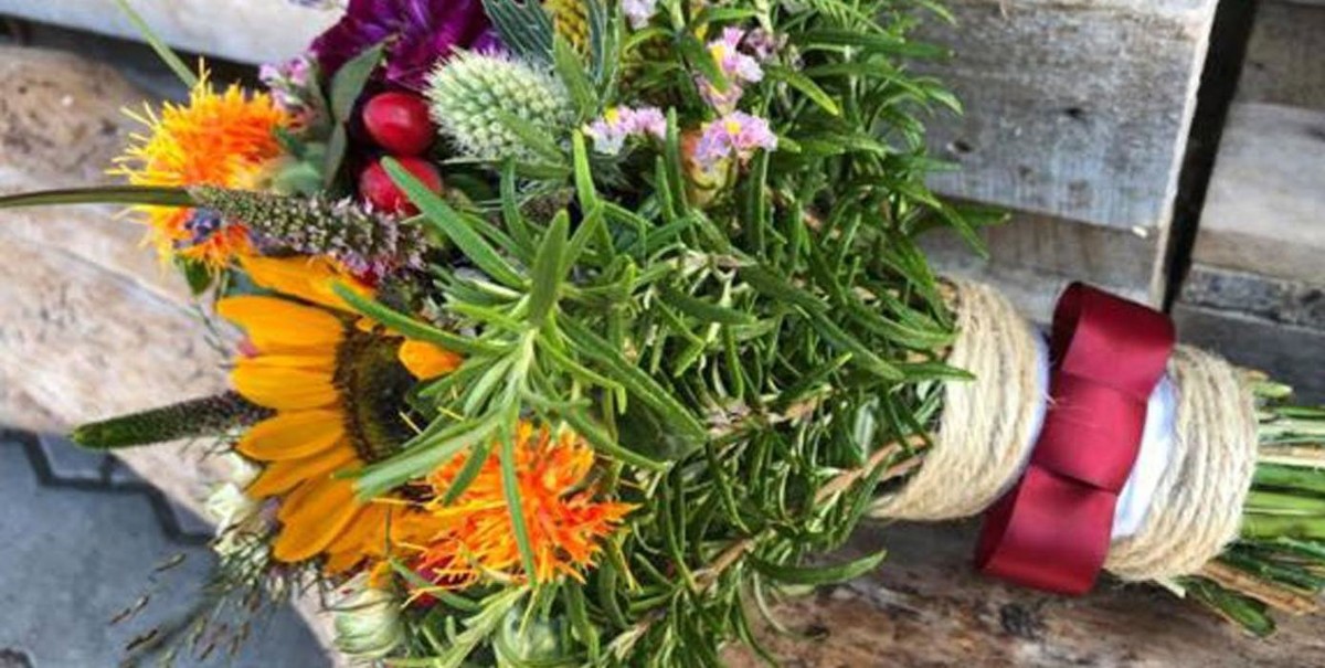 Bilder Blume & Garten Kerschdorfer