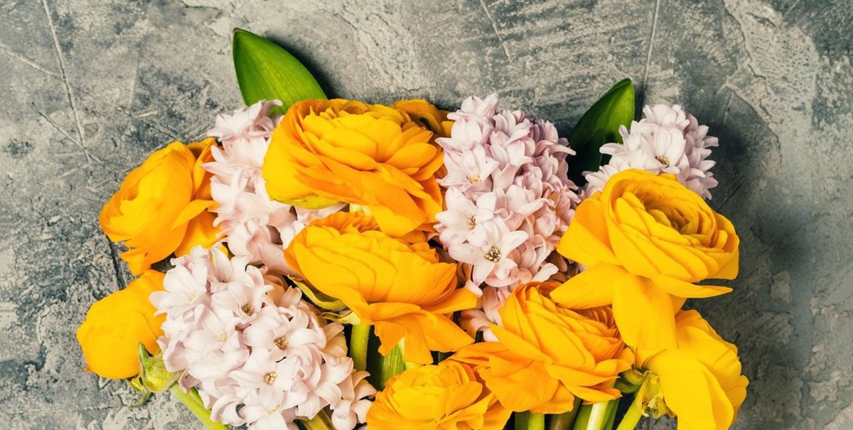 Bilder Blume & Garten Kerschdorfer