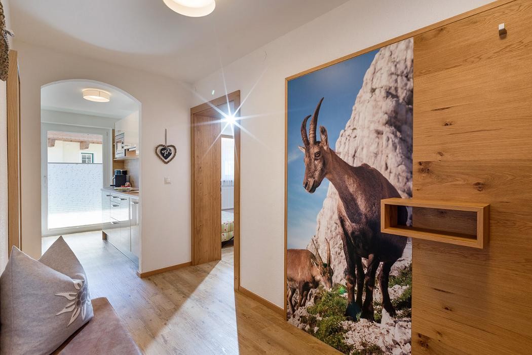 Bilder Ferienwohnung Apartmenthaus Katharina in Mayrhofen