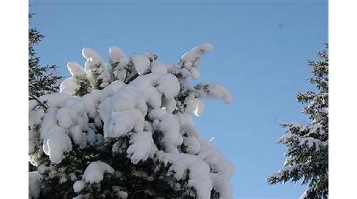 Bilder Haus Stefanie