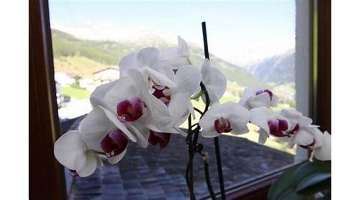 Bilder Haus Stefanie