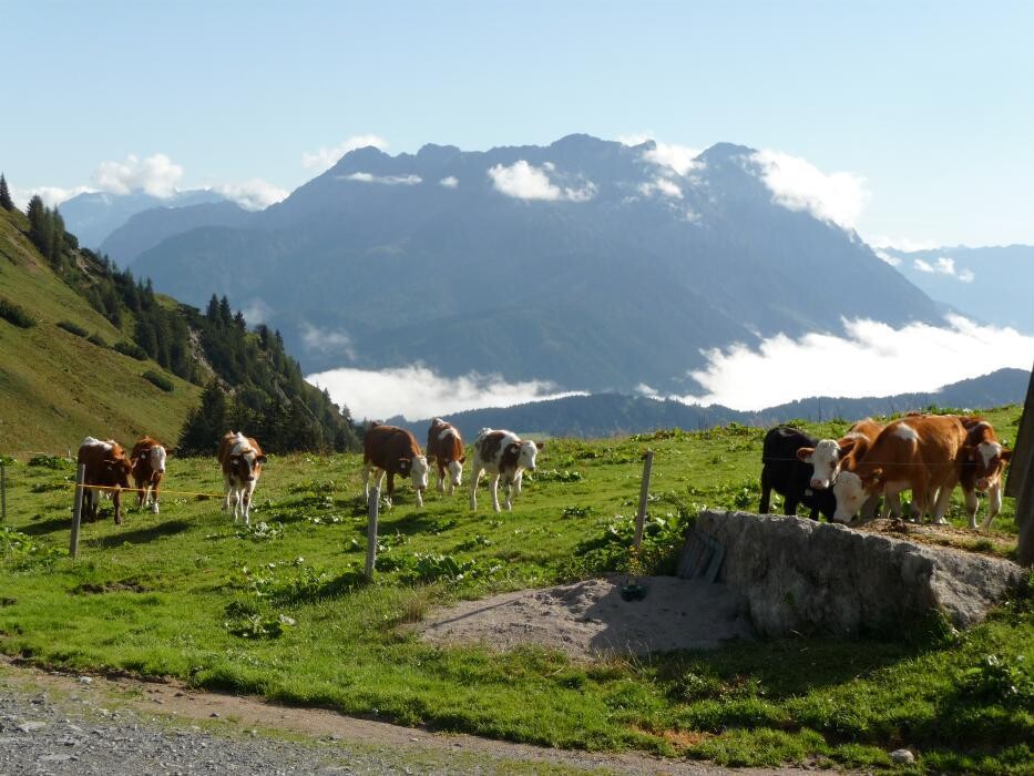 Bilder Pirschtalerhof