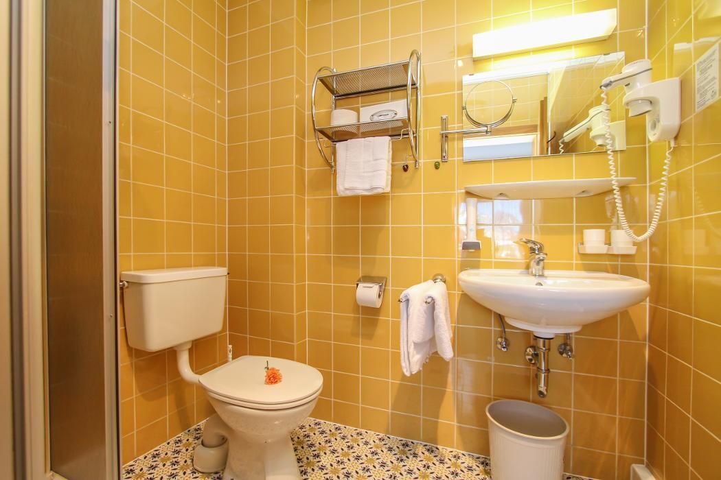 Bilder Hotel Tiroler ADLER - bed and breakfast in Waidring