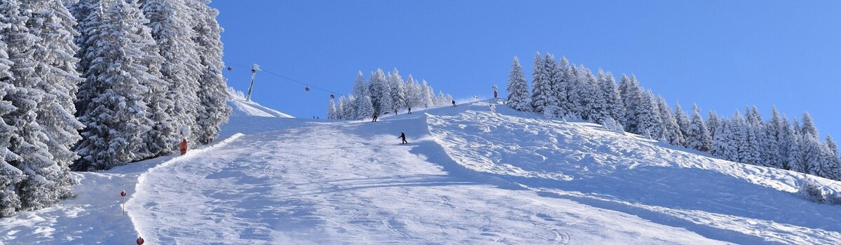 Bilder Sonnalm Westendorf im Brixental