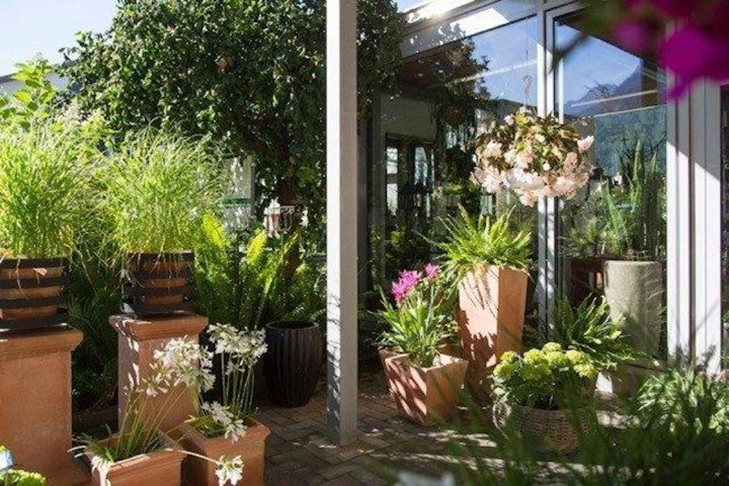 Bilder Schallert Blumen