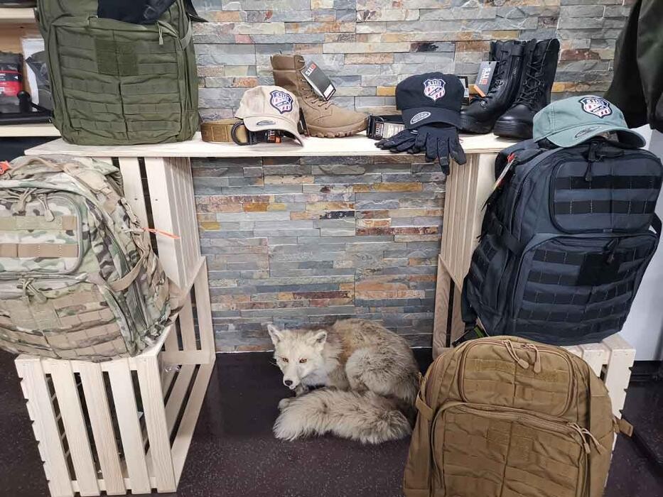 Bilder Deuring Waffen - Bregenz