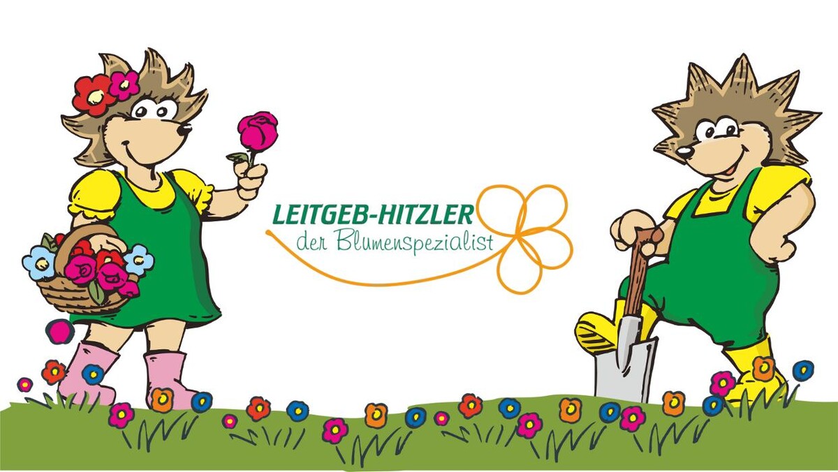 Bilder Leitgeb-Hitzler GmbH