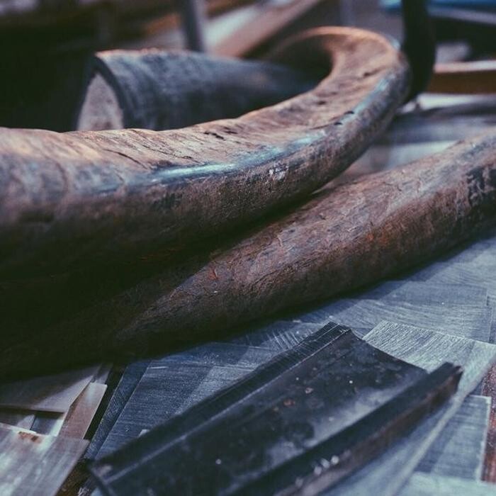 Bilder Hartmann Wien