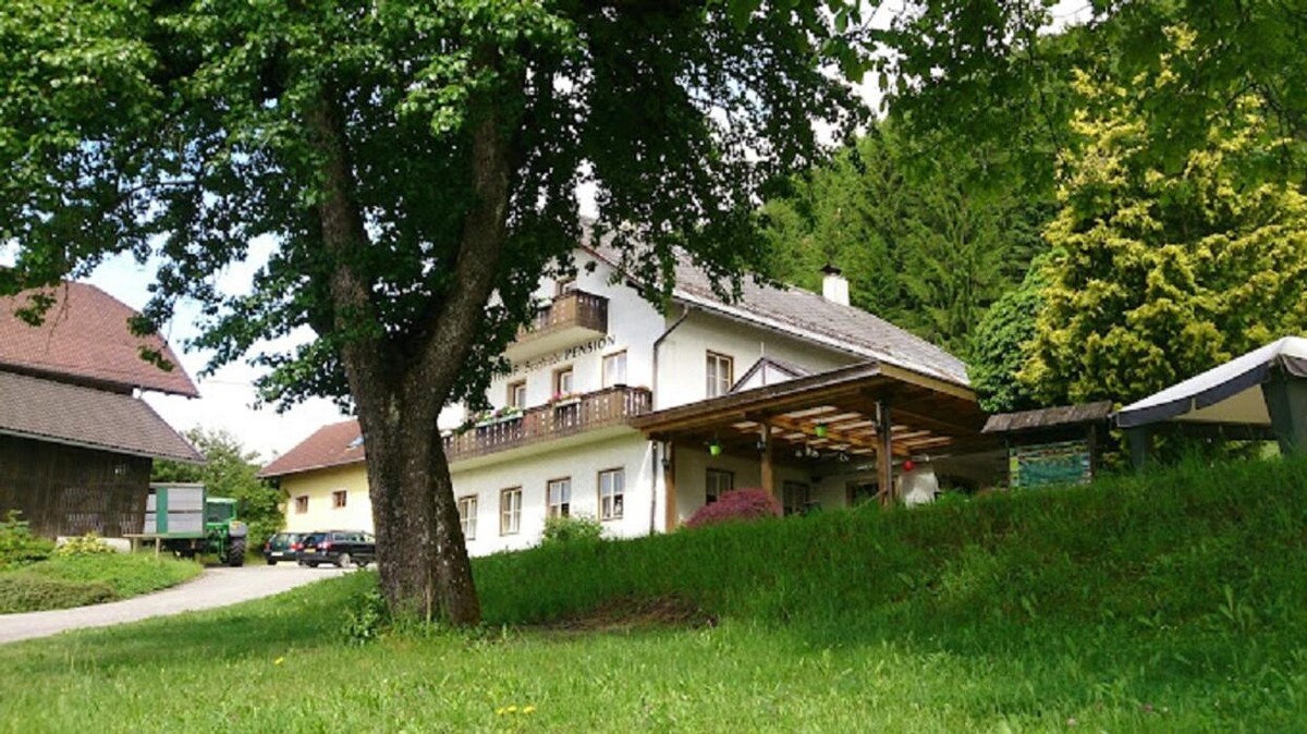 Bilder Gasthof Camping Bergfriede