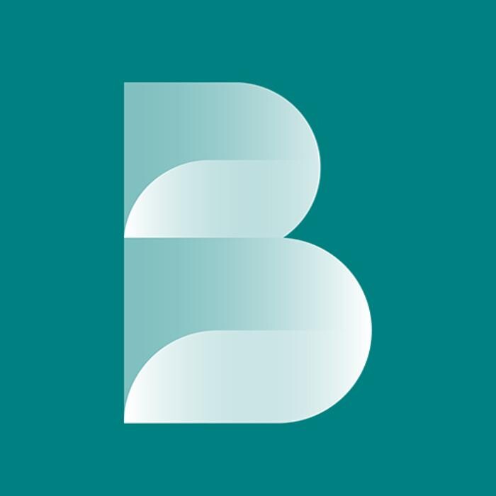 Roland Berger Vienna Logo