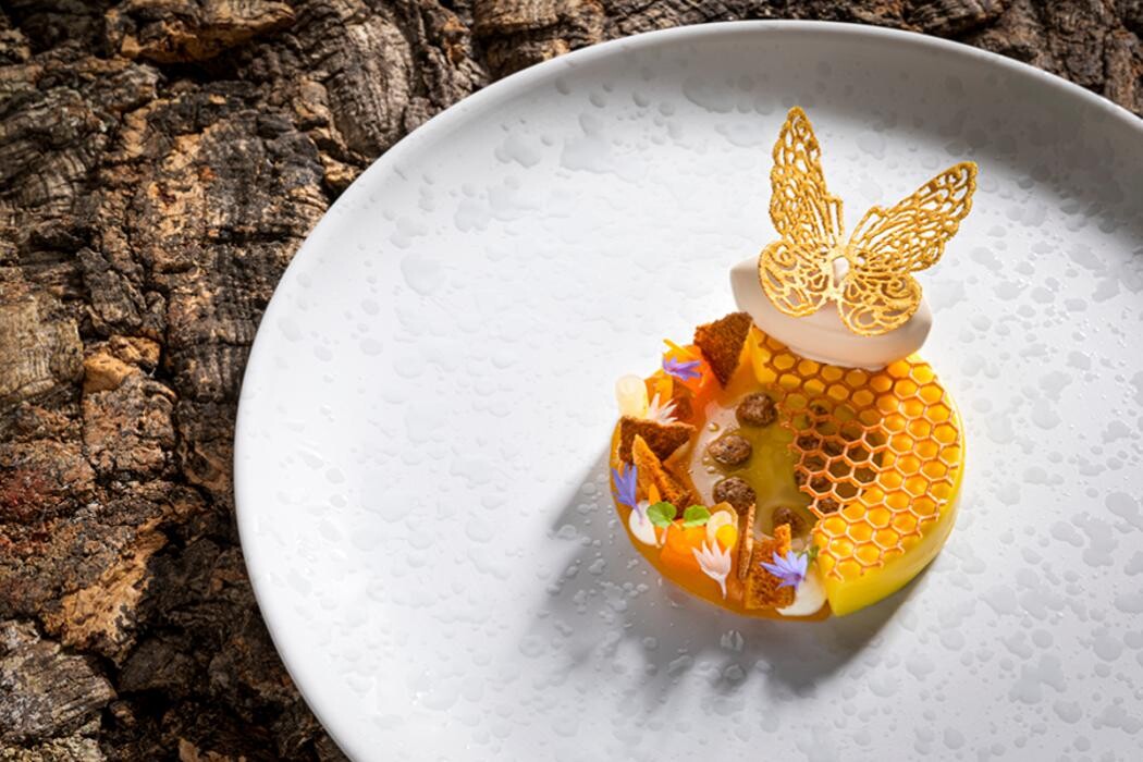 Bilder Hotel Alpenhof