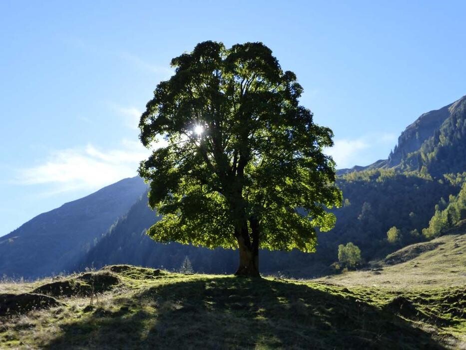 Bilder Hotel Garni Sonnhof