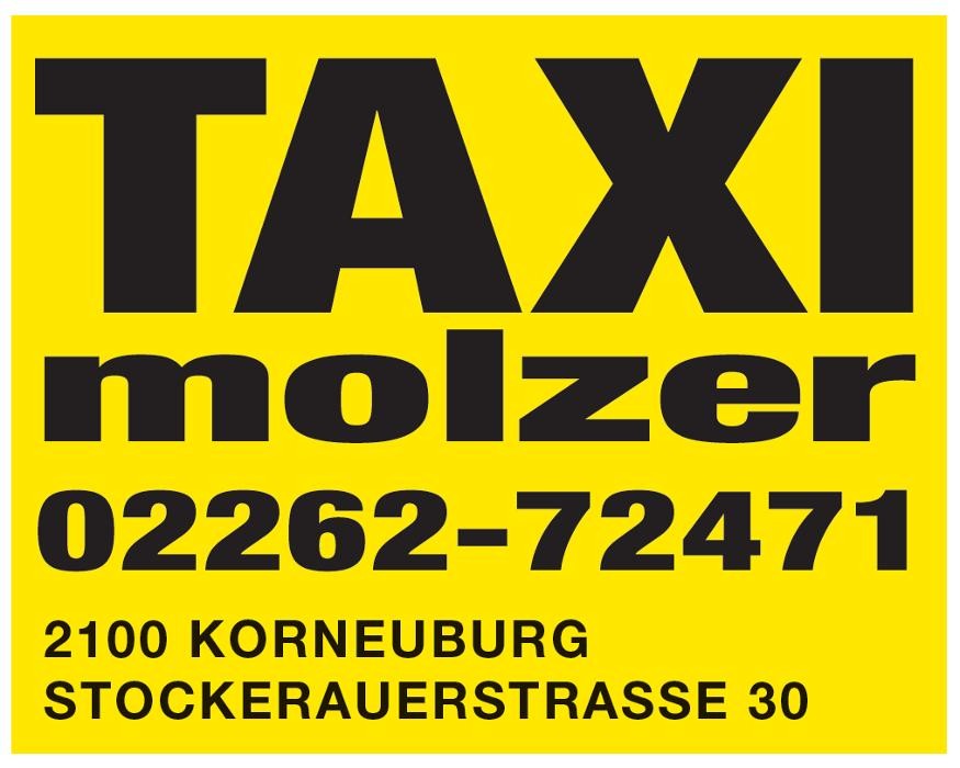 Taxi Molzer Logo