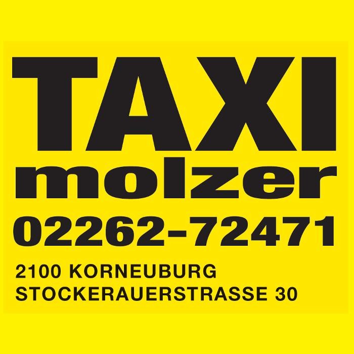 Bilder Taxi Molzer