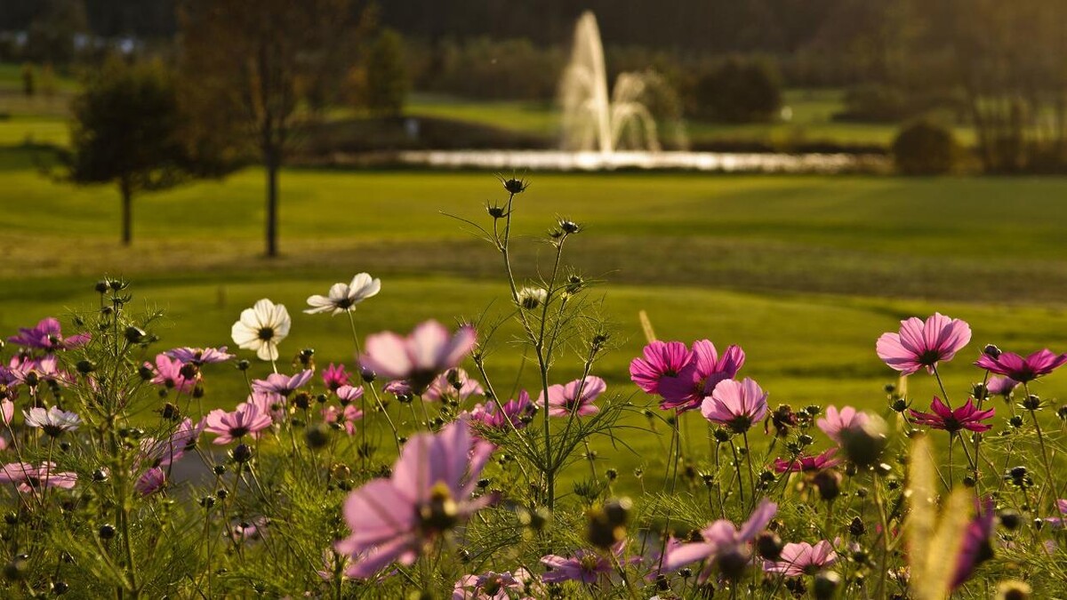 Bilder Landhotel Föhrenhof in Ellmau am Wilden Kaiser