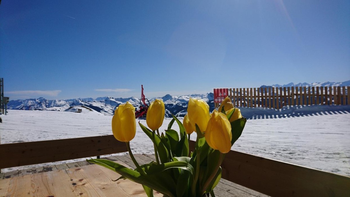 Bilder Garni Hotel Zimmermann - Reith bei Kitzbühel