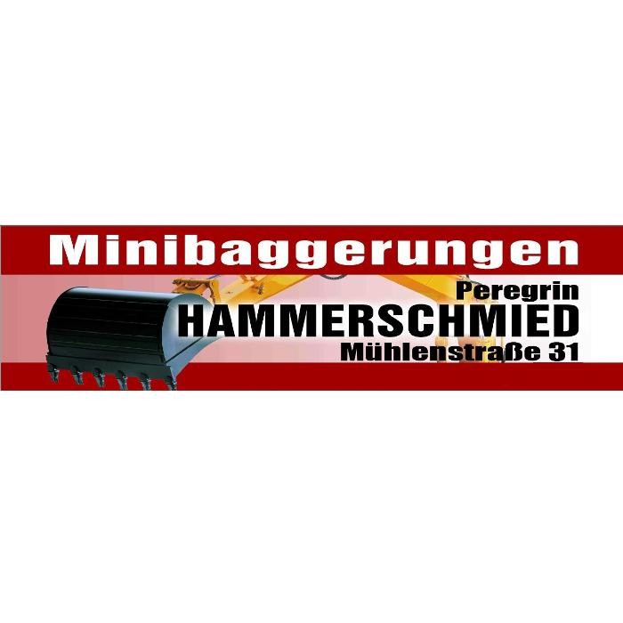 Minibaggerungen Hammerschmied Logo