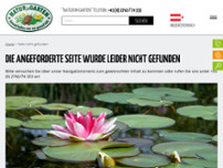 Blumen Franz Schlemmer website screenshot