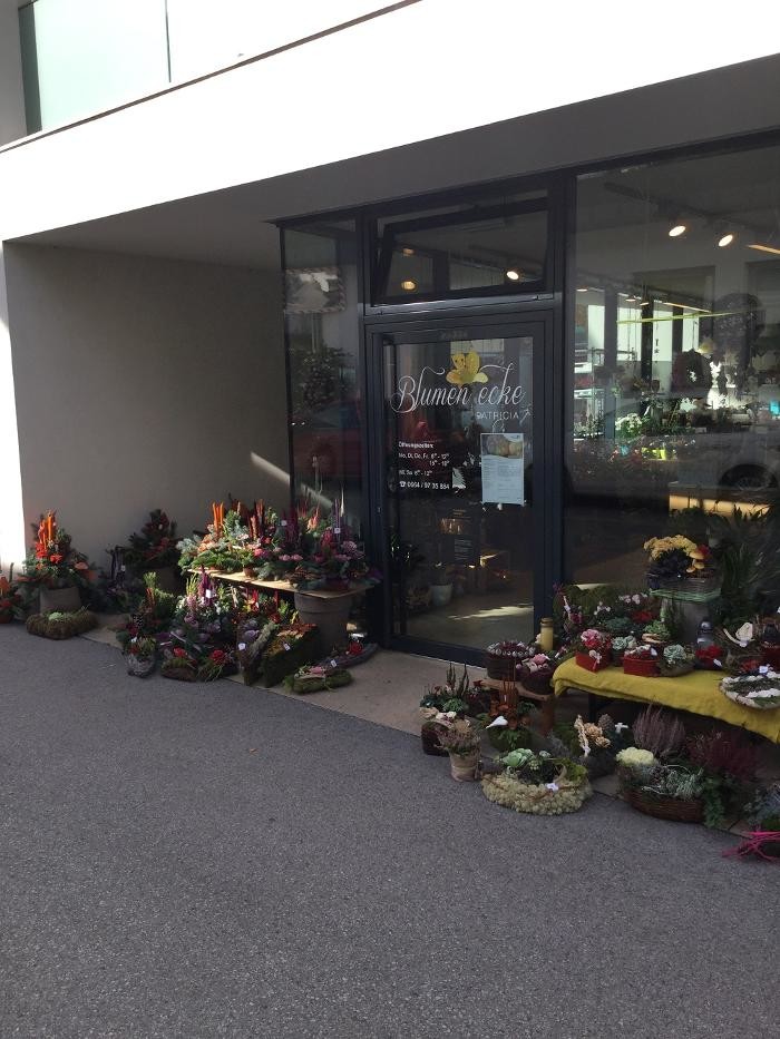 Bilder Blumenecke Patricia