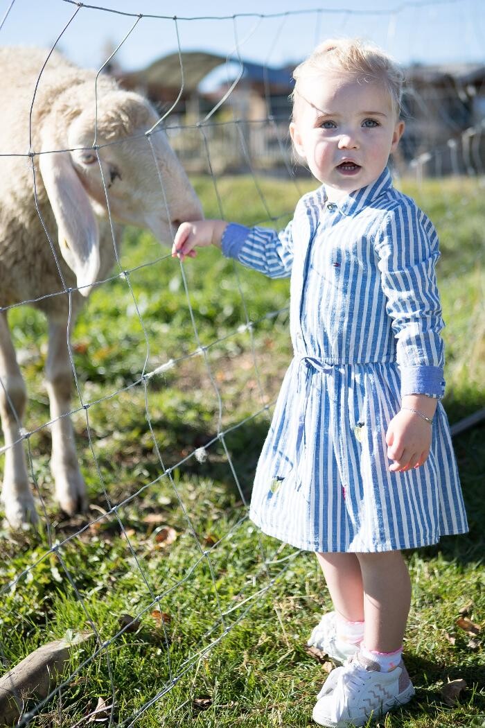 Bilder Narzenhof Chalets, Familien & Luxus Apartments am Bauernhof|St.Johann in Tirol