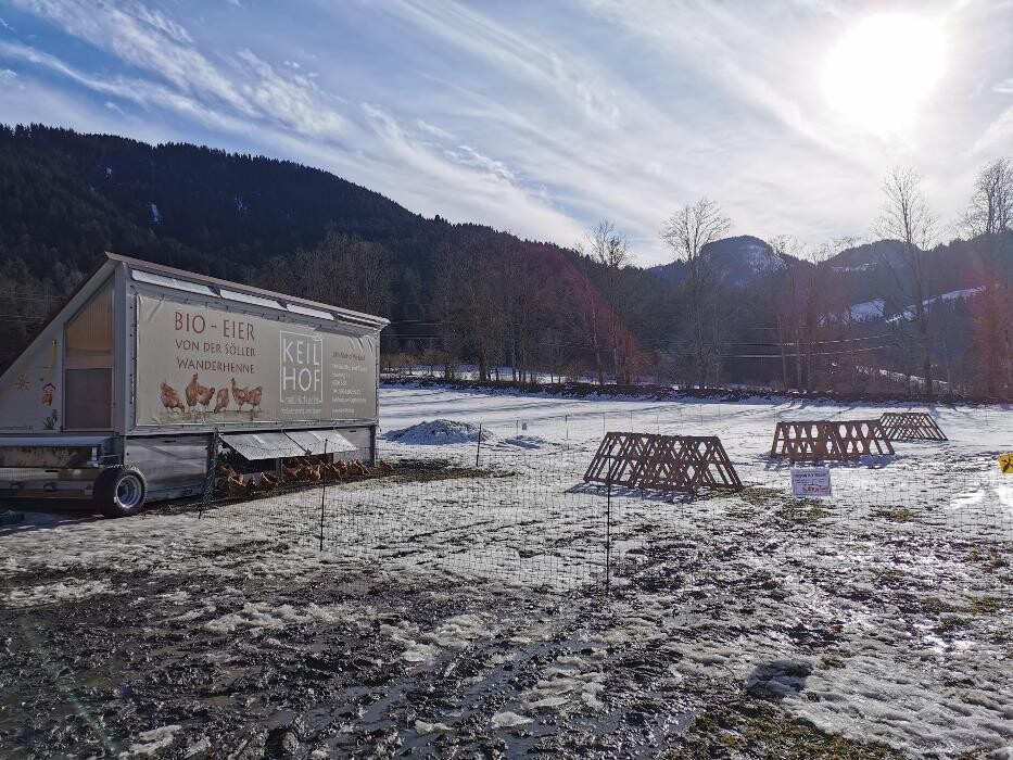 Bilder Keilhof natürlich.echt - Bio Eier & Milch vom Hofladen Wilder Kaiser Söll Ellmau