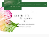 Reinhard Ivancsits website screenshot