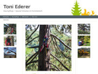 Toni Ederer website screenshot