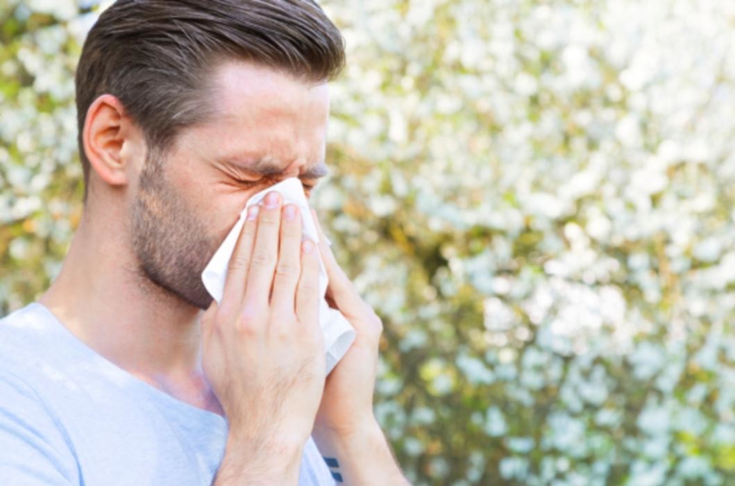 Bilder OA Dr. Paul Windischbauer