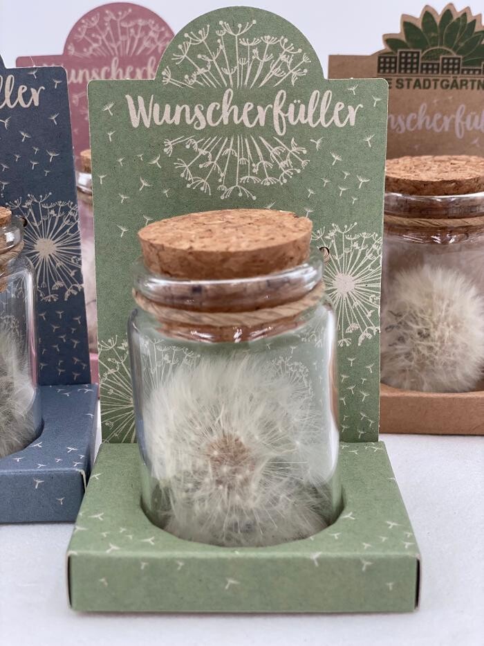 Bilder Hochl Floristik